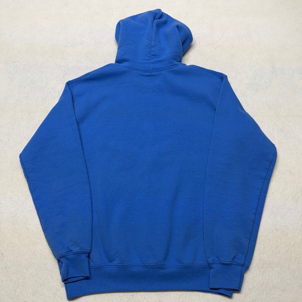 Detroit Lions Hoodie Sweatshirt NFL Team Apparel Graphic Blue Cotton Blend Small - Picture 5 of 13